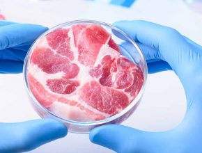 To meat, or not to meat: The future of Japanese cellular agriculture