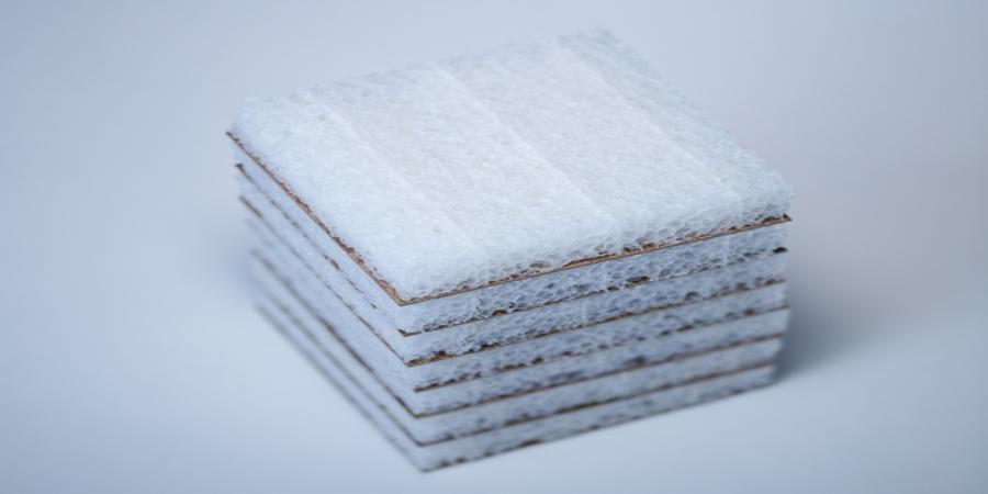 Cruz Foam’s chitin-based packaging brings in M as industries scramble to go green