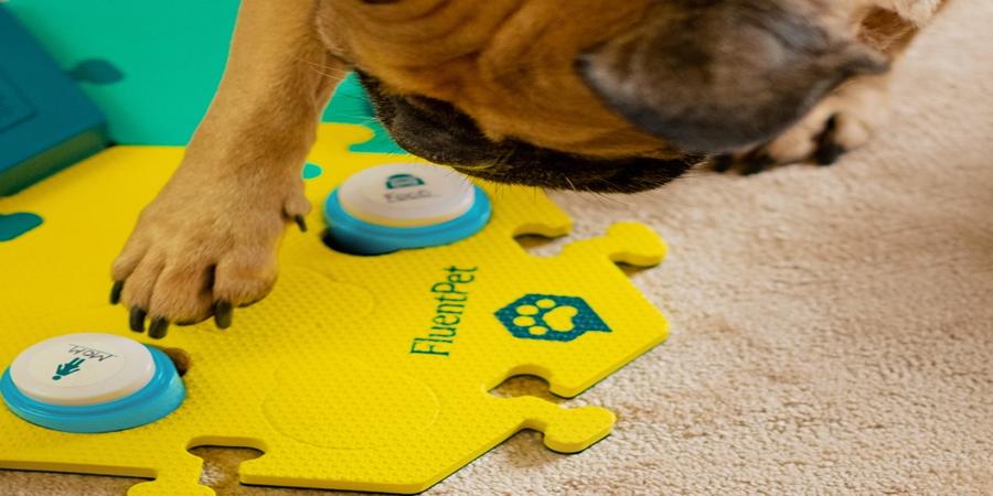 FluentPet’s talking button system lets you get a ‘text’ from your dog