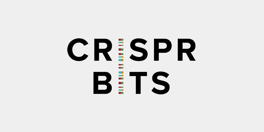 VJ Group backs biotech startup CrisprBits