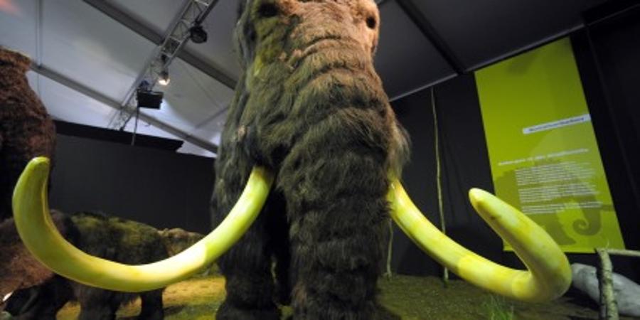 Woolly mammoth de-extinction is definitely not about making real-life Pokémon