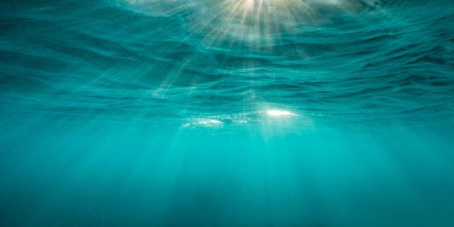 Sustainable Ocean Alliance converts its accelerator into a broader ‘Ecopreneur Network’