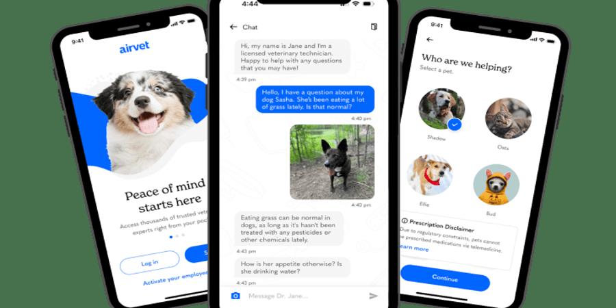 Pet telehealth company Airvet closes on .2M to embark on enterprise focus